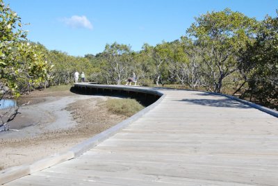 Wetlands before