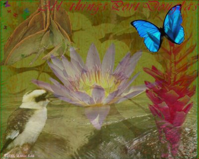 Port Douglas collage