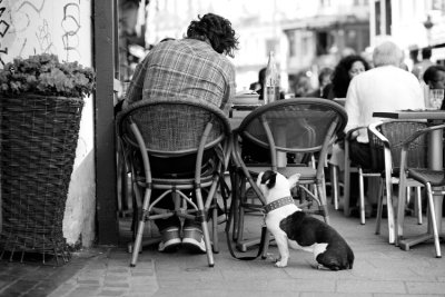 aspettando il cibo [waiting for food]