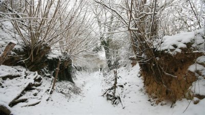 kh20100109 (24).jpg