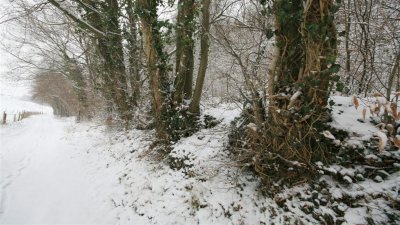 kh20100109 (32).jpg