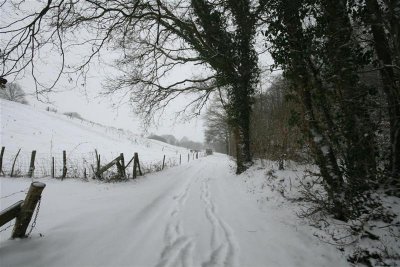 kh20100109 (33).JPG