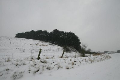 kh20100109 (37).JPG