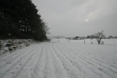 kh20100109 (38).JPG