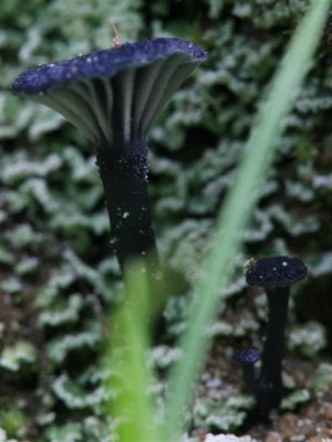 kh 20100227 (04).jpg