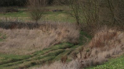 kh 20100227 (14).jpg