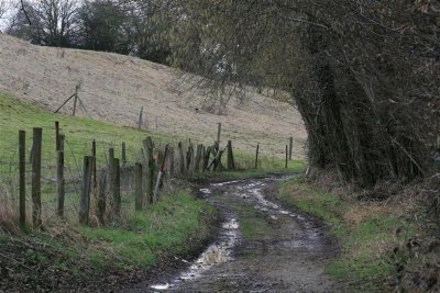 kh 20100227 (18).jpg
