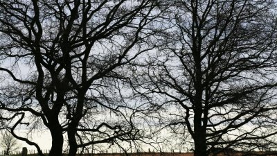 kh 20100227 (19).jpg