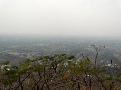P1040157.jpg