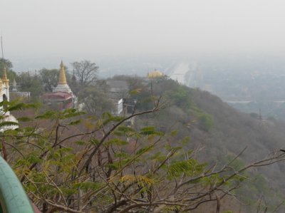P1040162.jpg