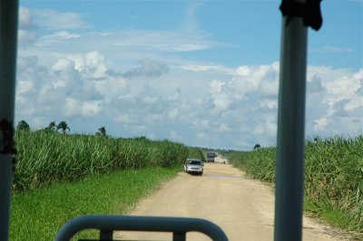 DR - Safari_06.JPG
