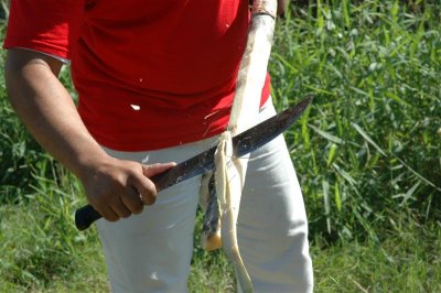 DR - Safari_10.JPG