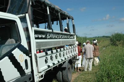 DR - Safari_12.JPG