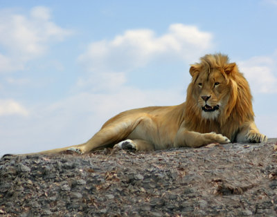 Keeping Watch