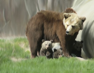 European Brown Bear Family