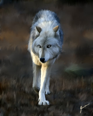 Wolf Walk