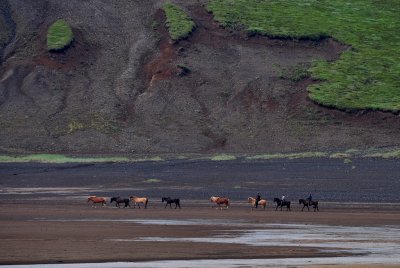 icelandic horse riding