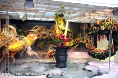 2010 Hong Kong Flower Show