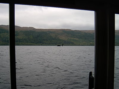 Nessie from a ship on Loch Ness, Scotland.JPG