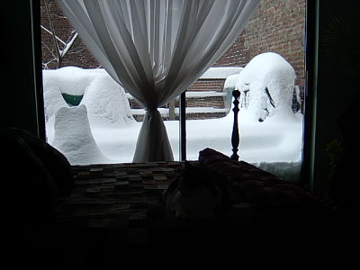 The snow on my deck.JPG