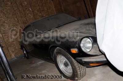 DSC_2877.jpg