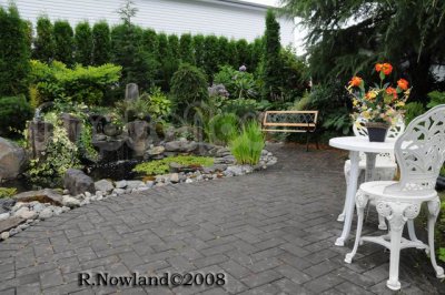 DSC_2988.jpg