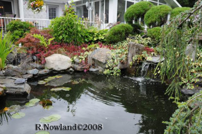 DSC_2989.jpg