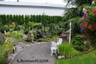 DSC_3003.jpg