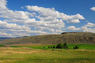 DSC_0579 Semlin Ranch.jpg