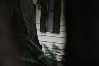framing