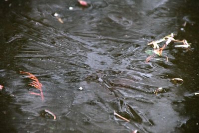 Frozen pond