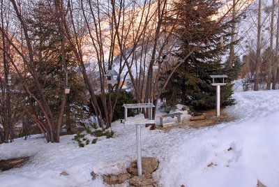 Ten Feeders - Can You Find Them?