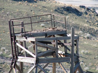 Golden Eagle Nest