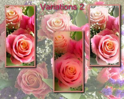 RosesVariations2w.jpg