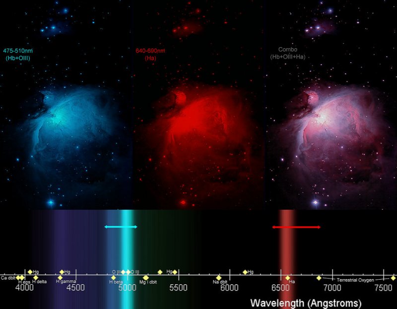 Orion Nebula