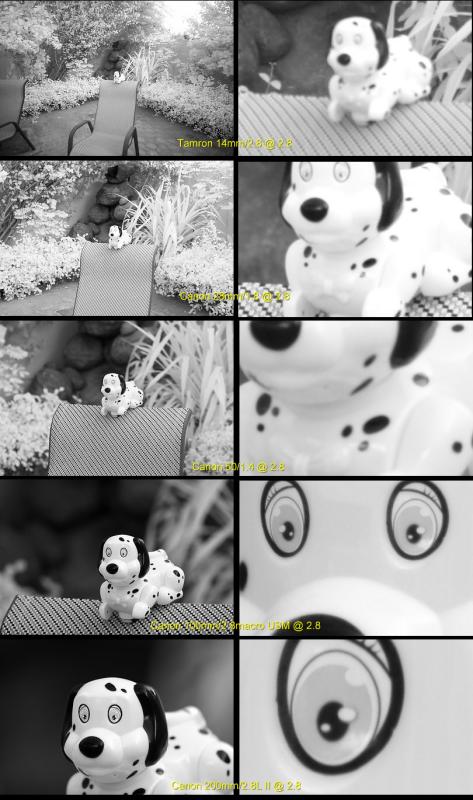 doggie_redux