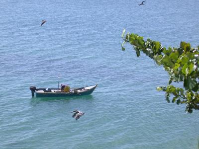 Every morning fishermen (human and avian) worked the waters