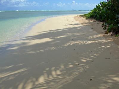 On our next-to-last day, we headed to the northeast corner of the island and Luquillo beach...