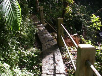 On our last day, we headed to El Yunque - a tropical rain forest where the trails were cleverly made of stone