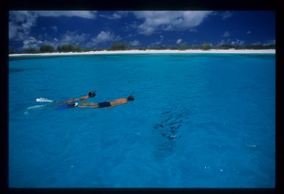 Snorkeling off Fantasea 2, Assumption Island, Aldabra group, Seycheclles