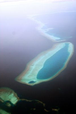 DSC_0198_resize.JPG