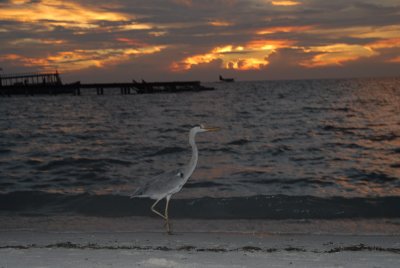 DSC_0292_resize.JPG