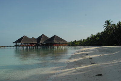 DSC_13z9_resize.JPG