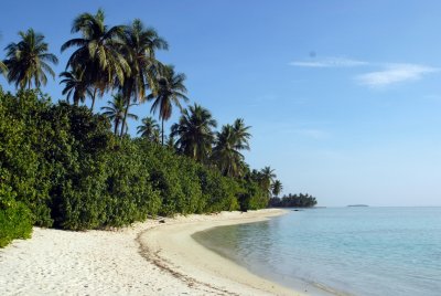 beach_resize.jpg