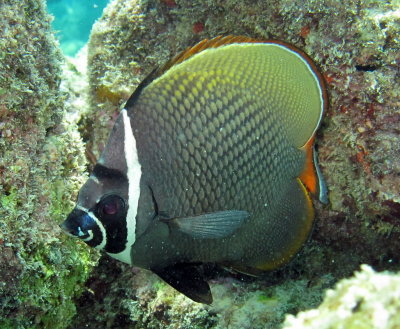 IMG_2081_resize.JPG