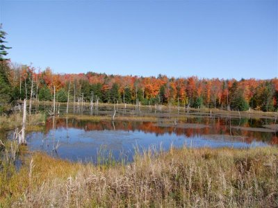 DSCF0613 (Medium).JPG