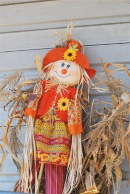 DSC_0271 (Medium).JPG