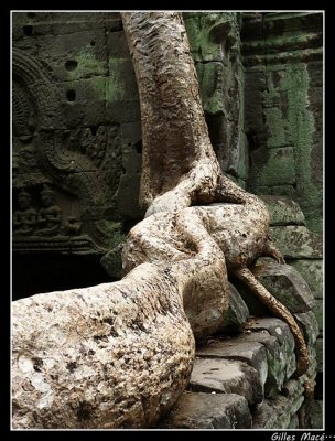 Angkor Vat