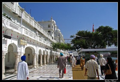 IMG_1589.jpg