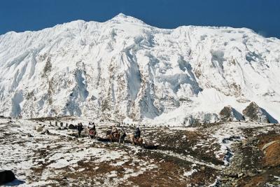 Tilicho Pic